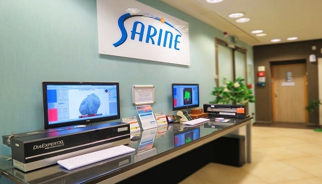 sarine art 13