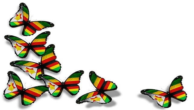 zimbabwe flag butterflies art 69