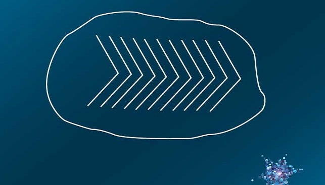 twin lines 3601722קוי תאומים