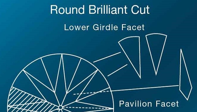 lower girdle facet 6325848 1