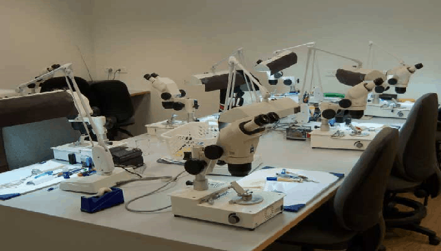 מעבדה גמולוגית
