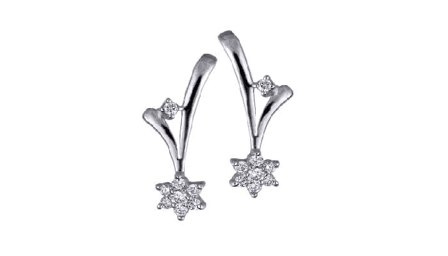 Platina earings