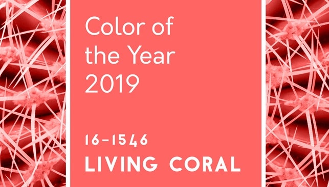 אלמוג חי צבע השנה 2019