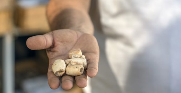 חרוזים רשות העתיקות