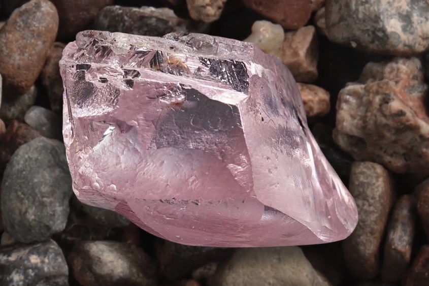 יהלום ורוד פרוטאה במשקל 29.5 קרט (Pioneer Diamond Tender House) יהלום ורוד פרוטאה במשקל 29.5 קרט (Pioneer Diamond Tender House)